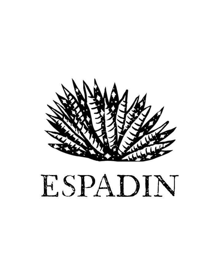Espadin Agave Plant